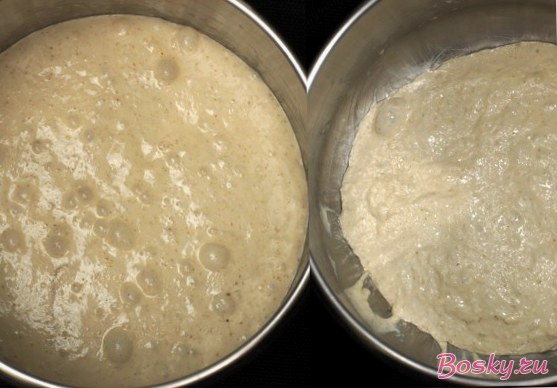 Как приготовить дрожжевое тесто на опаре и безопарным методом