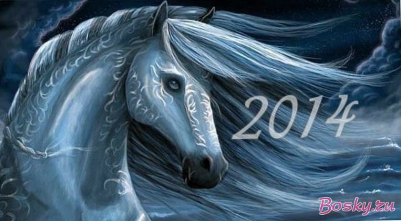Как встречать год синей лошади и в чем?