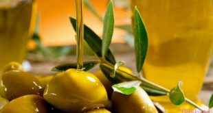 полезность оливкового масла