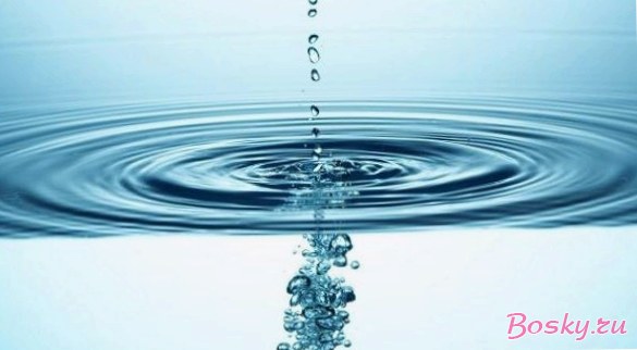Какова роль воды в организме человека