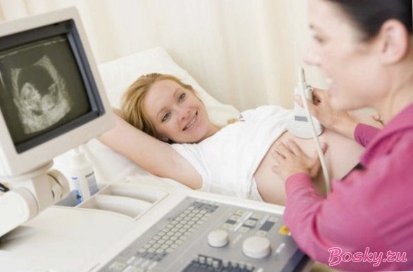 Как вычислить акушерский срок беременности и определить время родов