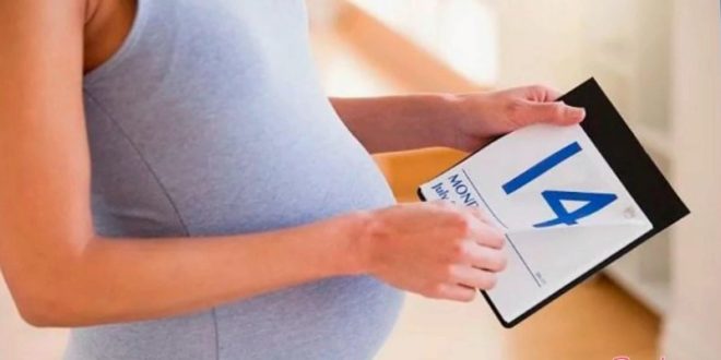 Как вычислить акушерский срок беременности и определить время родов