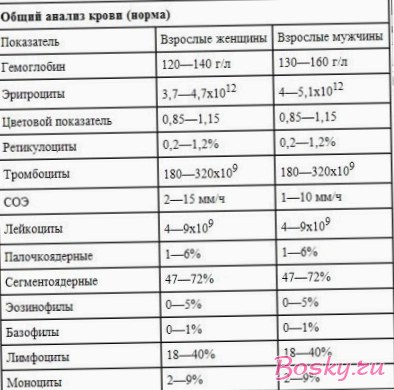 Не понимаете, что показывает неспециализированный анализ крови?