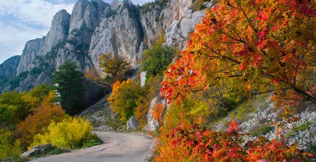 Осенний отдых в Крыму