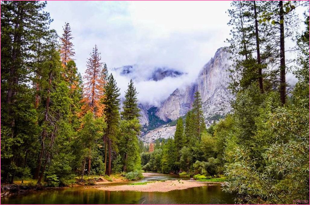 Отдых в национальном парке Йосемити: лучшие маршруты и достопримечательности