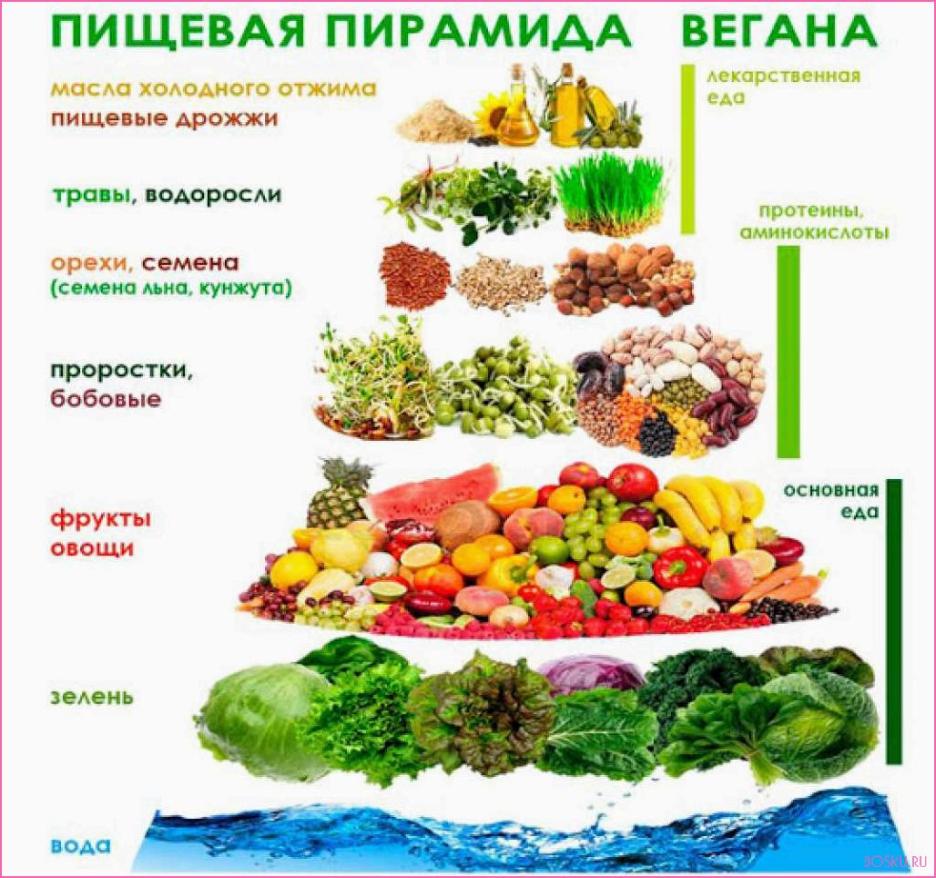 Вегетарианская диета: основы, польза и рекомендации