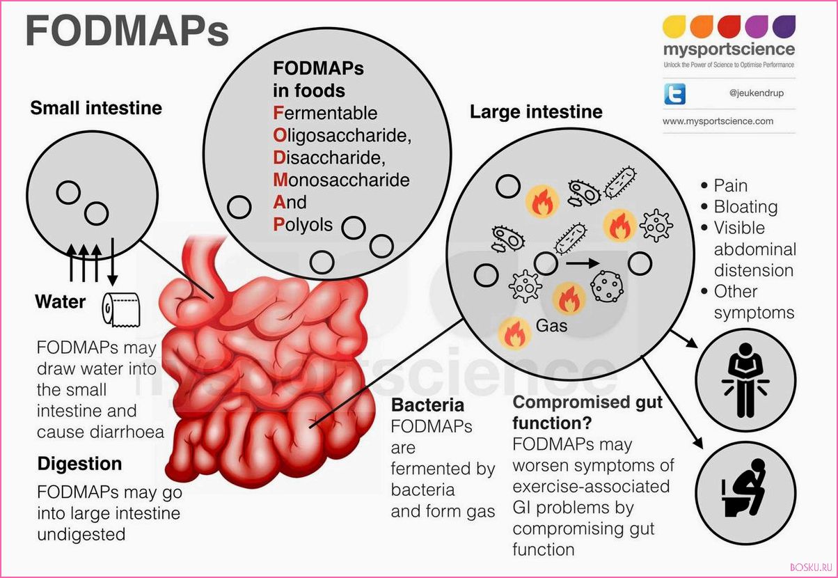 Low FODMAP диета: основные принципы и польза для организма