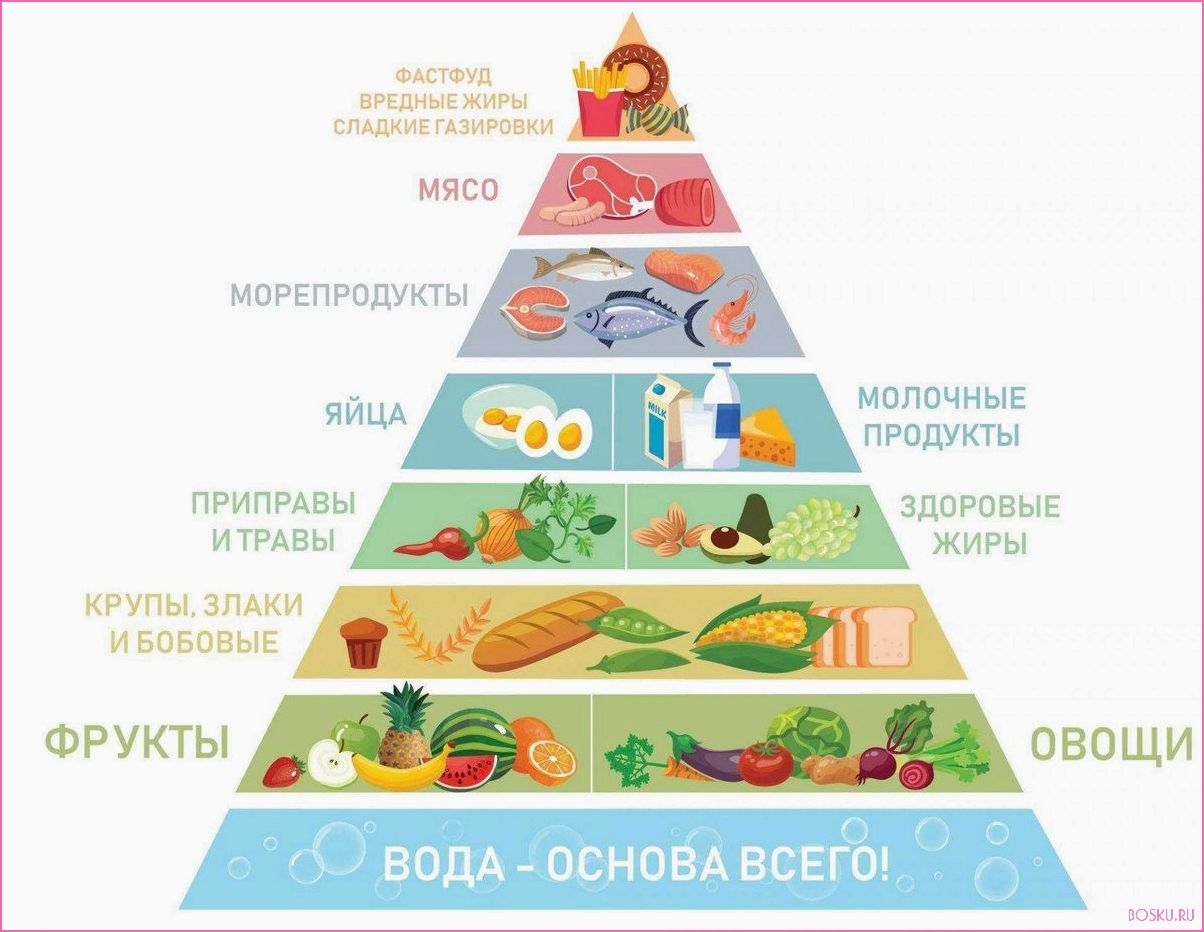 Принципы здорового питания: как начать правильно питаться