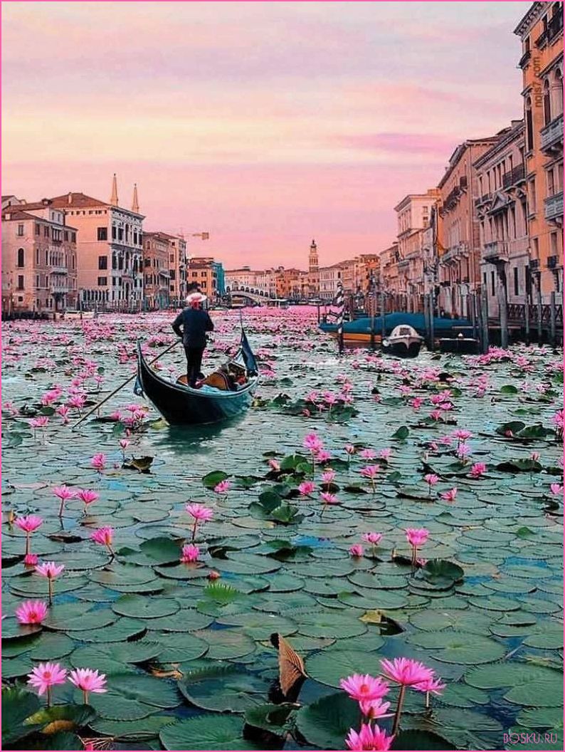 Отдых в Венеции: лучшие места для посещения и отдыха
