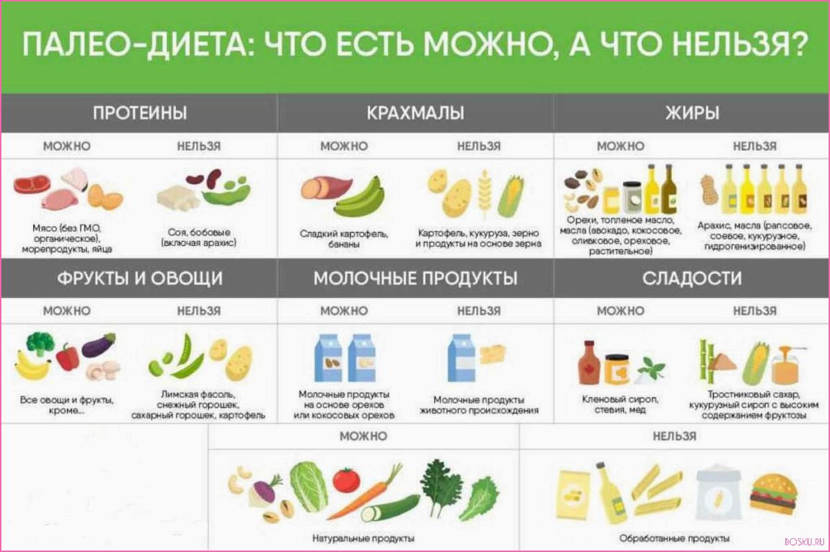 Палеодиета: основы, принципы и польза